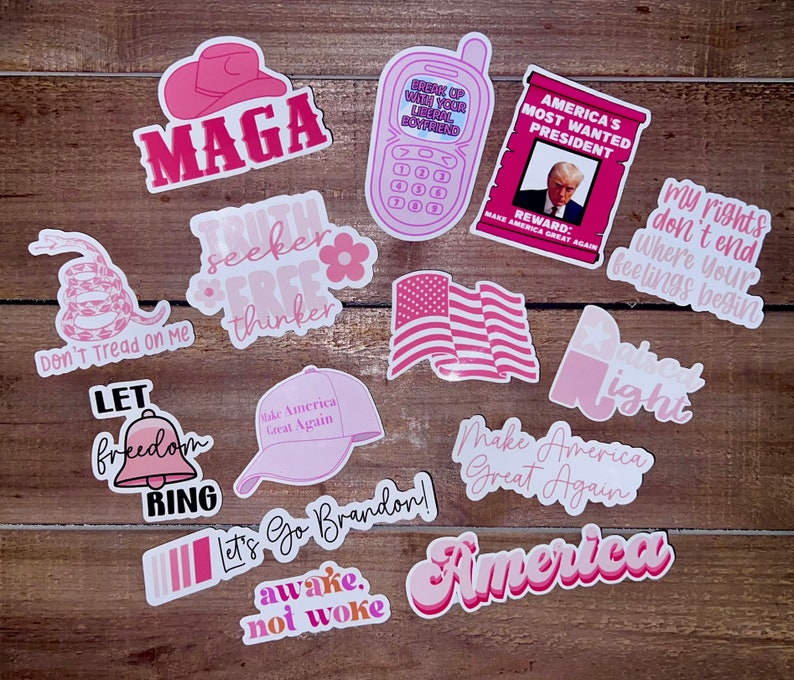 Truth Seeker Free Thinker Sticker / Conservative Sticker / Republican Sticker / American / Patriotic Decal / Vinyl Sticker / Waterproof afbeelding 6