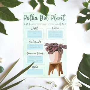 Plant Care Card | Plant Needs Image | Plant Information | Polka Dot Plant