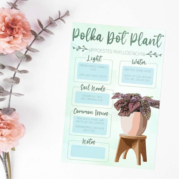 Plant Care Card | Plant Needs Image | Plant Information | Polka Dot Plant -  Etsy