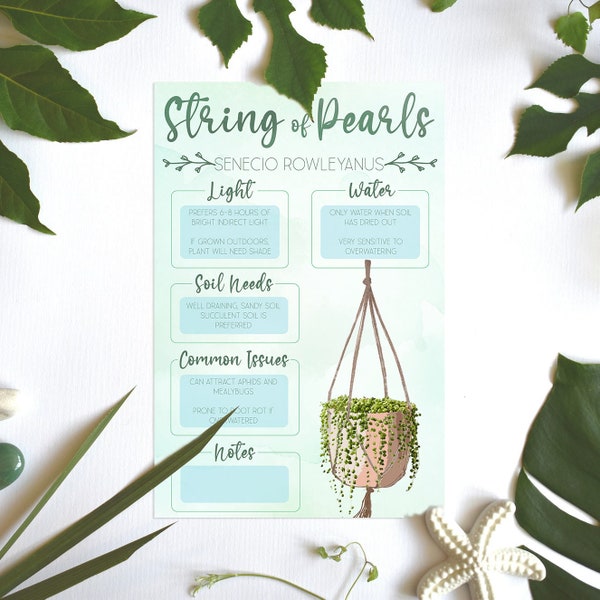 Plant Care Card | Plant Needs Image | Plant Information | String of Pearls