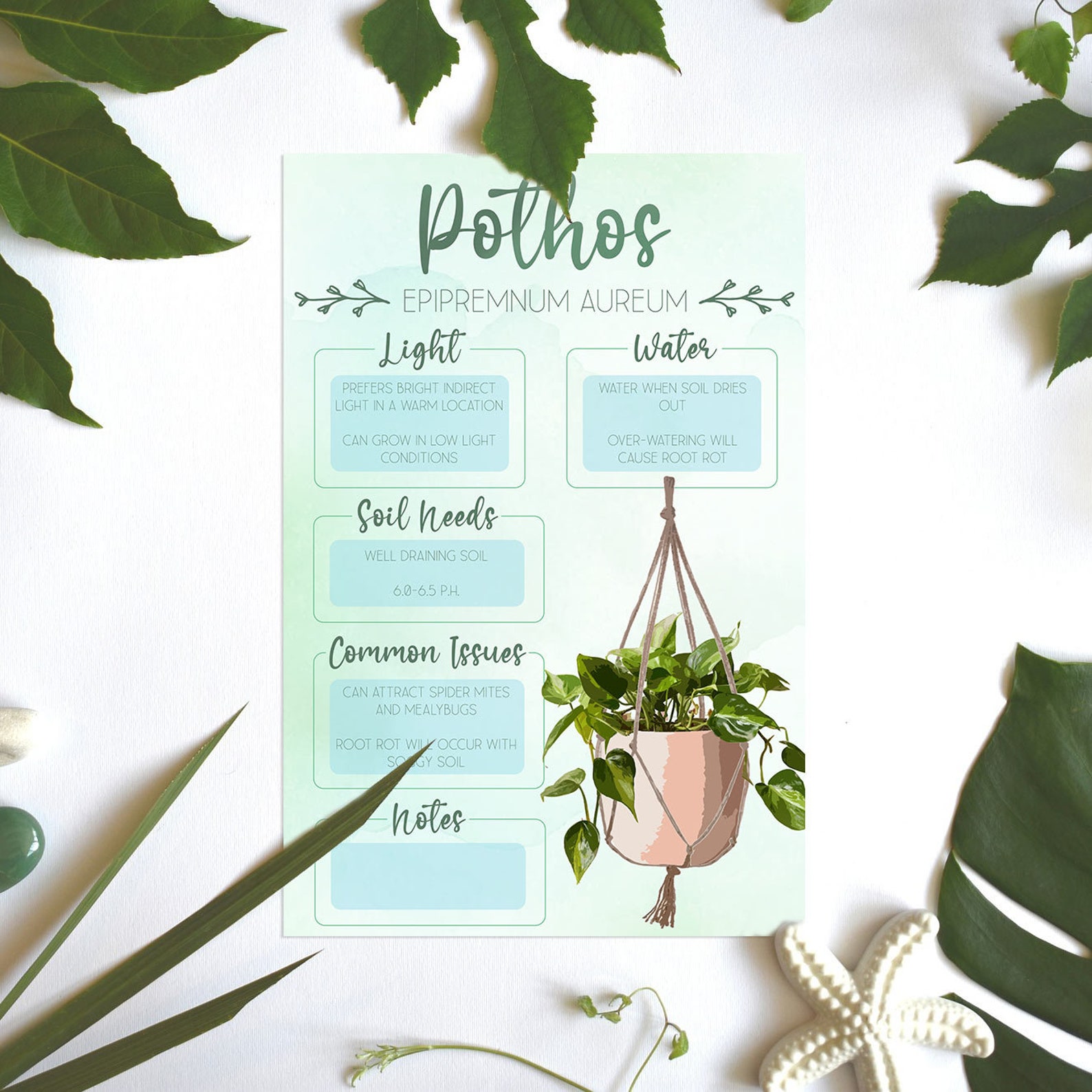 Plant Care Card Plant Needs Image Plant Information Pothos Plant Etsy