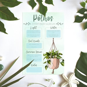 Tarjeta de cuidado de plantas / Imagen de necesidades de plantas / Información sobre plantas / Planta pothos