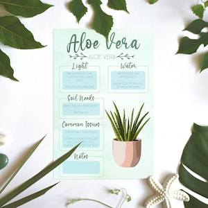 Tarjeta de cuidado de plantas / Imagen de necesidades de plantas / Información sobre plantas / Aloe Vera