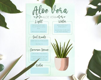 aloe vera regeneration Aloe Vera Regeneration Mask 3-Step-Facecare-Set ( 1 Pack including 5 p main image 1