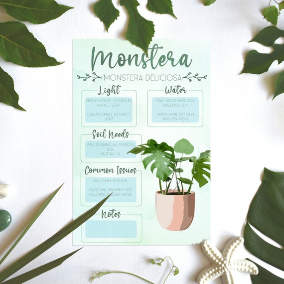 Plant Care Card | Plant Needs Image | Plant Information | Monstera