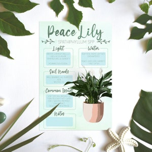 Plant Care Card / Plant Needs Image / Plant Information / Peace Lily