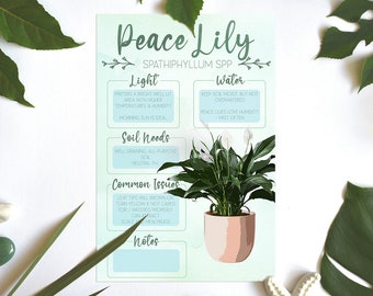 Plant Care Card | Plant Needs Image | Plant Information | Peace Lily