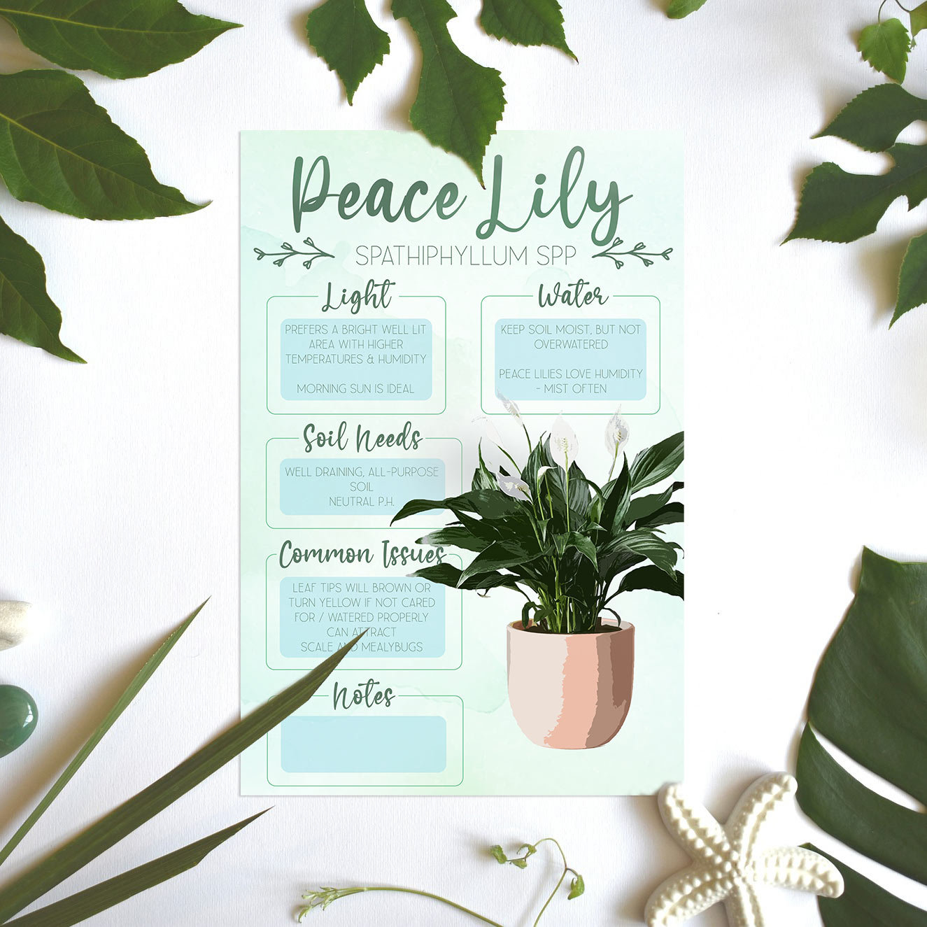 Plant Care Card | Plant Needs Image | Plant Information | Peace
