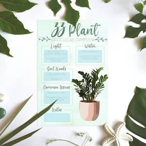 Plant Care Card | Plant heeft | nodig | met installatie-informatie ZZ | Zanzibar Juweeltje