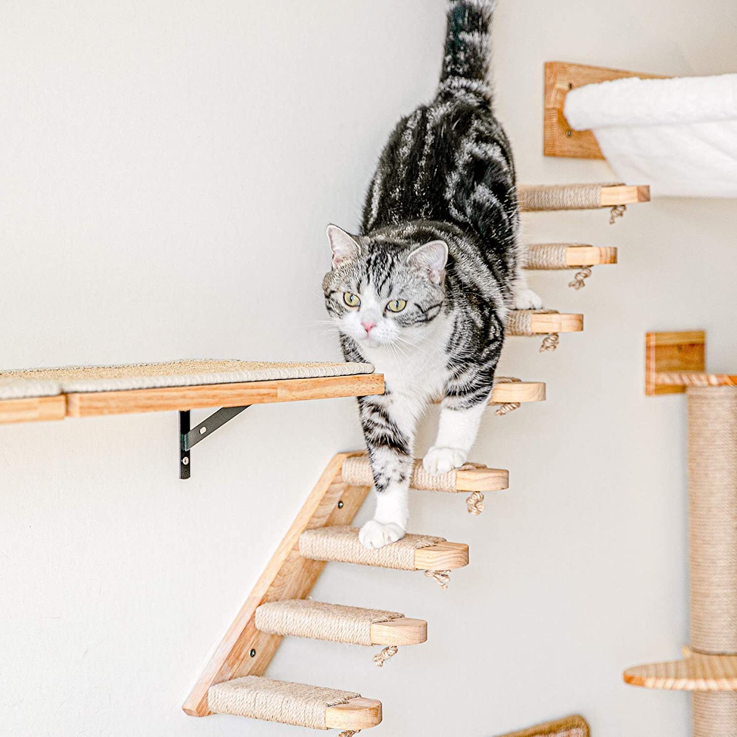 Cat Climbing Shelf Wall Mounted Four Step Cat Stairway with Etsy