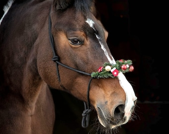 Knotenhalfter Weihnachtsedition