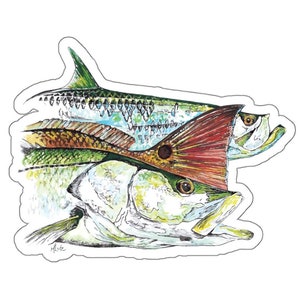 Pegatina de sábalo, gallineta nórdica y róbalo, la más vendida: vinilo troquelado resistente e impermeable para uso en interiores y exteriores.