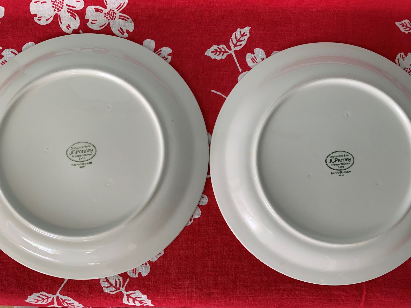 Set of 2 Strawberry Dinner Plates Berry Blossom JC Penney Etsy