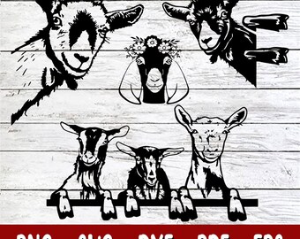 Download 9q5ky8nnk6bjjm