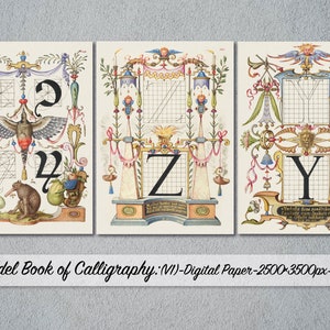 O livro modelo de caligrafia, papel digital, 38 imagens diferentes, alfabeto de Georg Bocskay e Joris Hoefnagel, a carta
