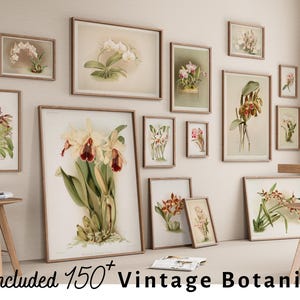 May include: A wall gallery featuring framed botanical prints of various orchids. The prints are in a variety of sizes and frames, and they are arranged in a visually appealing way. The text "Included 150+ Vintage Botanical" is at the bottom of the image.