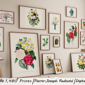 Bundle Printable, 1480 jpg,  illustrations by Pierre-Joseph Redouté, botanical illustrators, roses vintage, botanist renowned