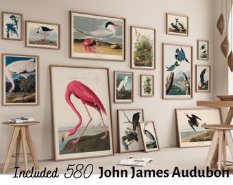 See the natural world through the eyes of an avid animal lover and artist – John James Audubon, birds and animals, 580 Vintage prints