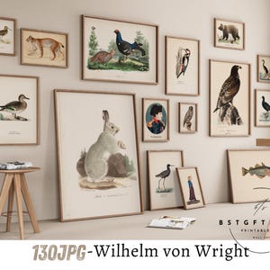 May include: A collection of framed prints featuring various animal illustrations, including a duck, a rabbit, a bird, a deer, and a fish. The prints are arranged on a white wall with a wooden floor.