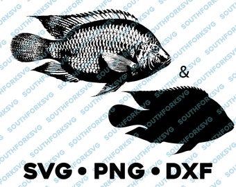 Download Redfish Svg Etsy
