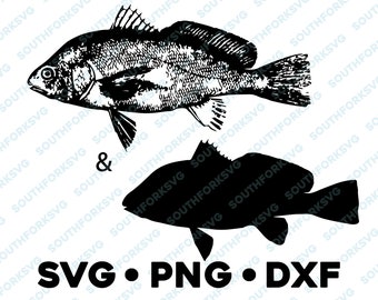 Download Red Drum Svg Etsy