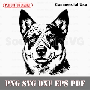 Projekt głowy psa Blue Heeler | svg png dxf eps pdf | plik grafiki wektorowej cięty laserowo | natychmiastowe pobieranie cyfrowe do użytku komercyjnego