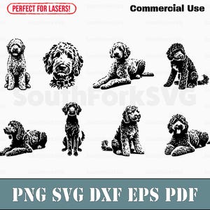 Labradoodle Design Bundle in svg png dxf eps pdf | Vektorgrafik Datei Laser Clip Art schneiden | sofortiger digitaler Download kommerzielle Nutzung
