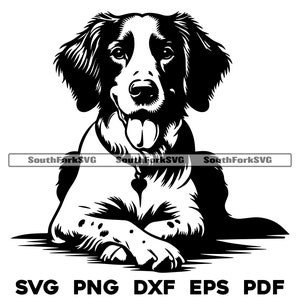Bretagne-spaniël hond leggen gekruiste poten 2 svg png dxf eps pdf | vectorafbeelding snijbestand laserclipart | digitale download commercieel gebruik