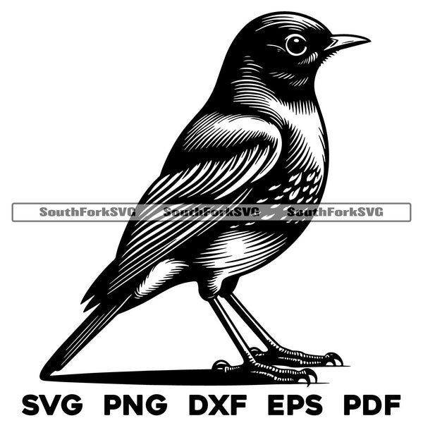 Standing American Robin Bird Design | svg png dxf eps pdf | vector graphic cut file laser clip art | instant digital download commercial use