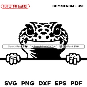 May include: Black and white illustration of a gecko peeking over a surface. The gecko has a spotted pattern and large eyes.