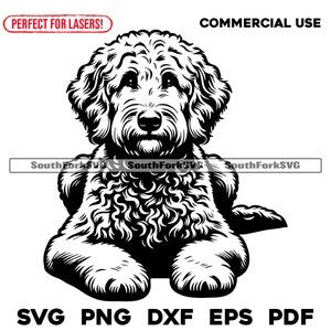 Goldendoodle hondenlegontwerp | svg png dxf eps pdf | vectorafbeelding snijbestand laserclipart | direct digitaal downloaden voor commercieel gebruik