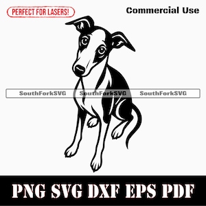 Greyhound Dog Begging SVG PNG DXF EPS PDF / grafica vettoriale stencil file di taglio laser clip art stampa download digitale istantaneo uso commerciale