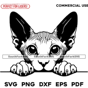Design furtif chat Sphynx | svg png dxf eps pdf | graphique vectoriel découpé fichier laser clip art | Téléchargement numérique instantané, utilisation commerciale