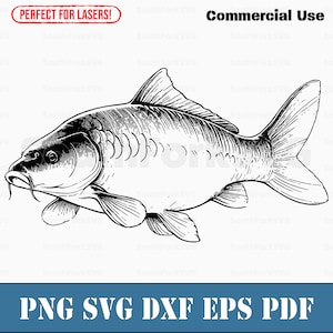 Karper vissen svg png dxf eps pdf | transparant vector grafisch ontwerp gesneden print kleurstof sub laser graveerbestanden commercieel gebruik