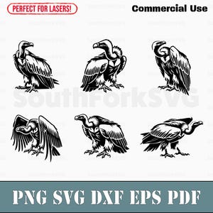 Vulture SVG-paket svg png dxf eps pdf | vektorgrafikdesign klipp utskrift färgämne lasergravyr cnc digitala filer kommersiellt bruk