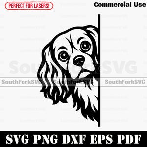 May include: A monochrome graphic of a Cavalier King Charles Spaniel dog, partially visible from behind a vertical line. Text includes "Commercial Use" and "SVG PNG DXF EPS PDF".