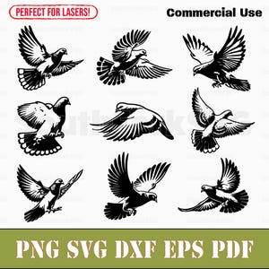 Einfache Taube Bundle svg png dxf eps pdf | Vektorgrafik Datei Laser Clip Art schneiden | sofortiger digitaler Download kommerzielle Nutzung