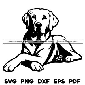Labrador retriever hond leggen gekruiste poten 2 svg png dxf eps pdf | vectorafbeelding snijbestand laser clip art digitale download commercieel gebruik