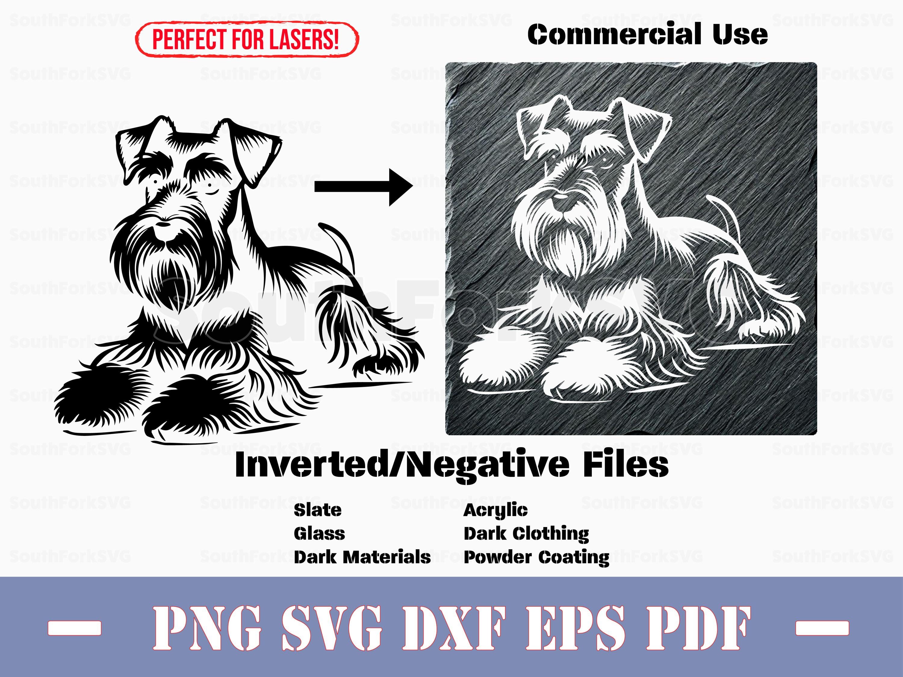 Kostenlose foto : Natur, Tier, Laub, Herbst, schwarzer Hund, Wirbeltier,  Schnauzer, Hunderasse, Terrier, Schwarzer schnauzer, Hund wie Säugetier  1908x2300 - - 672958 - Kostenlose bilder - PxHere, image size:3000x2249