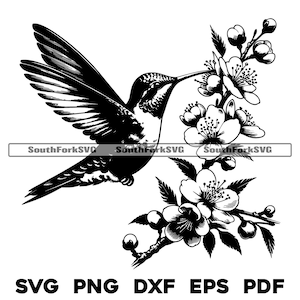 Colibrí alimentándose de flores Diseño svg png dxf eps pdf / vector gráfico corte archivo láser clip art descarga digital instantánea uso comercial