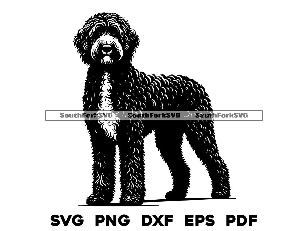 Labradoodle Dog Standing Design | Svg Png Dxf Eps Pdf | Vector Graphic ...