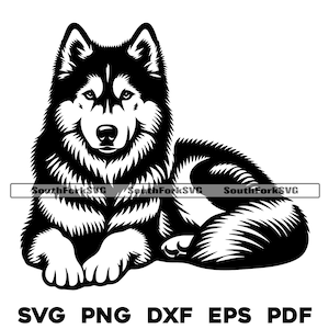 Siberian Husky Hund Liegend Motiv | svg png dxf eps pdf | Vektorgrafik Datei Laser Clip Art schneiden | sofortiger digitaler Download kommerzielle Nutzung