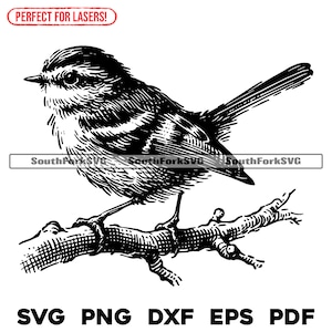 Small Song Bird Laser Files svg png dxf eps pdf | vector graphic design cut print dye sub laser engrave cnc digital files commercial use