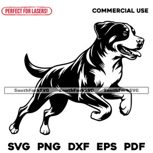 Schweizer Sennenhund läuft svg png dxf eps pdf Vektorgrafik Datei Laser Clip Art Sofort-Download Kommerzielle Nutzung