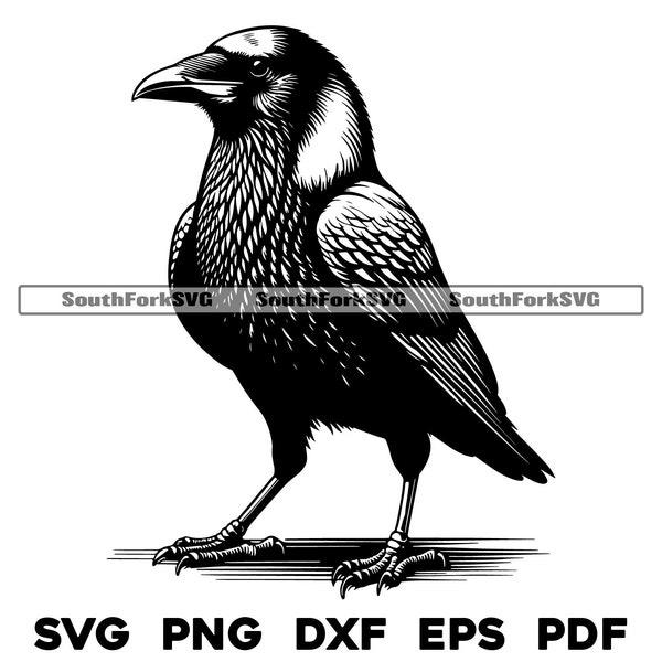 Standing American Crow Bird Design | svg png dxf eps pdf | vector graphic cut file laser clip art | instant digital download commercial use