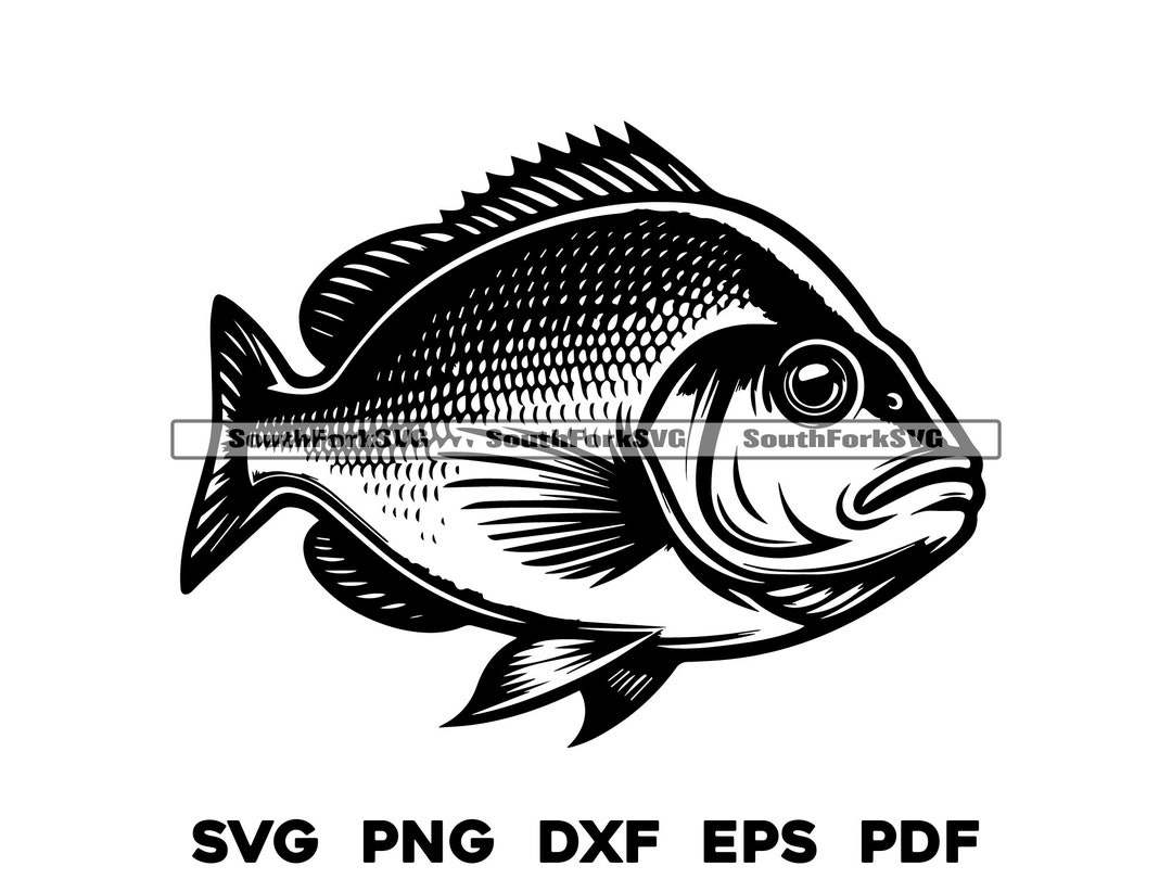 Red Snapper Design | Svg Png Dxf Eps Pdf | Transparent Vector Graphic ...