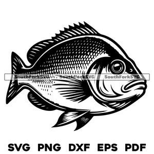 Red Snapper Design | Svg Png Dxf Eps Pdf | Transparent Vector Graphic ...