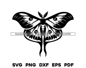 Luna Moth 1 | svg png dxf eps pdf | transparent vector graphic design cut print dye sub laser engrave files commercial use