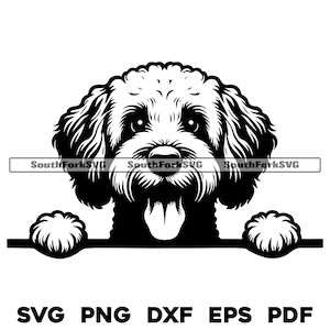 Peeking Labradoodle Dog Head Design | svg png dxf eps pdf | vector graphic cut file laser clip art | instant digital download commercial use