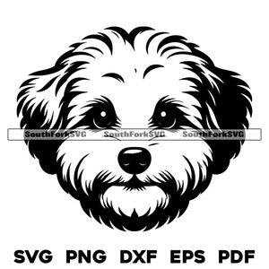 Maltipoo Hundekopf Design | svg png dxf eps pdf | Vektorgrafik Datei Laser Clip Art schneiden | sofortiger digitaler Download kommerzielle Nutzung